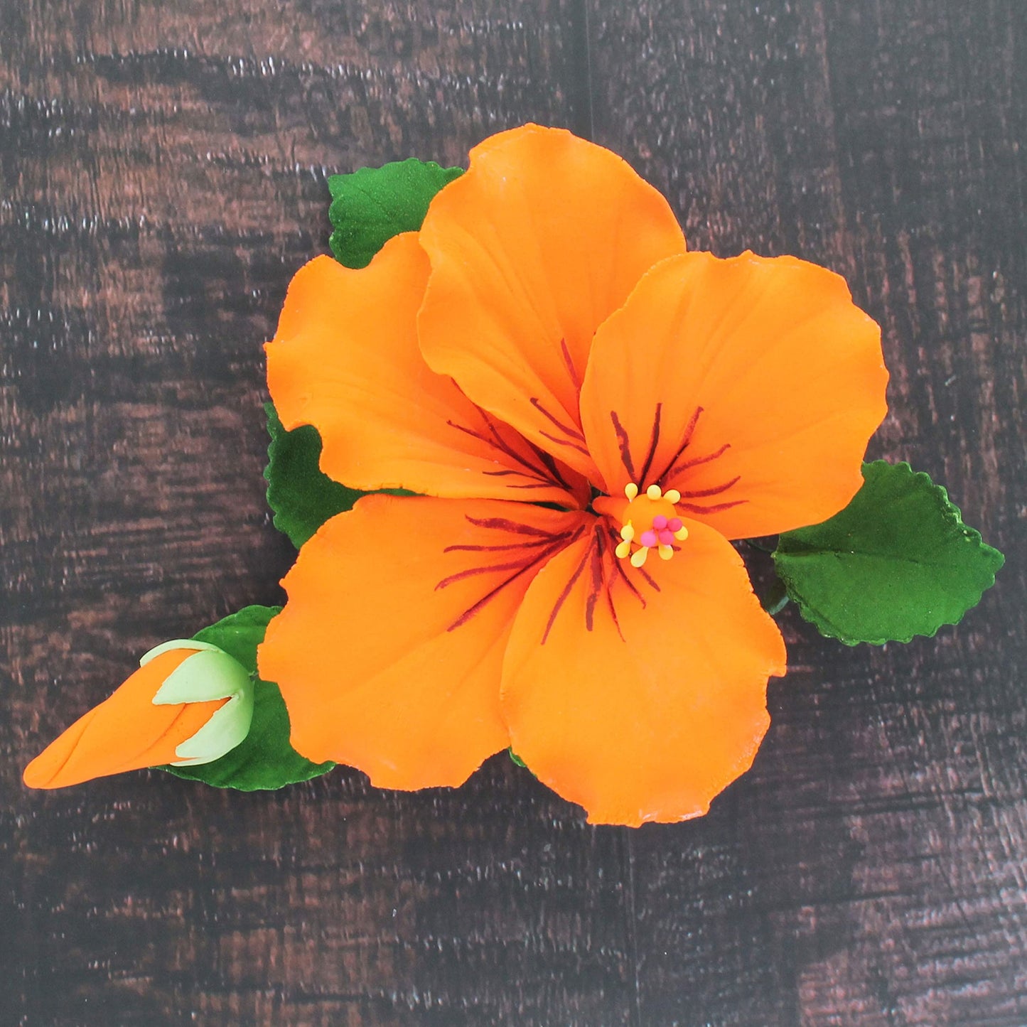 Orange Tropical Hibiscus with Leaves