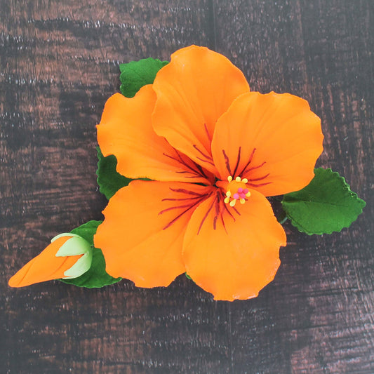 Orange Tropical Hibiscus with Leaves