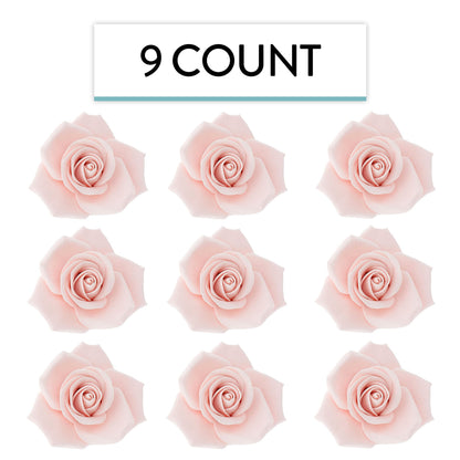 Pink Peace Rose, 3-inch
