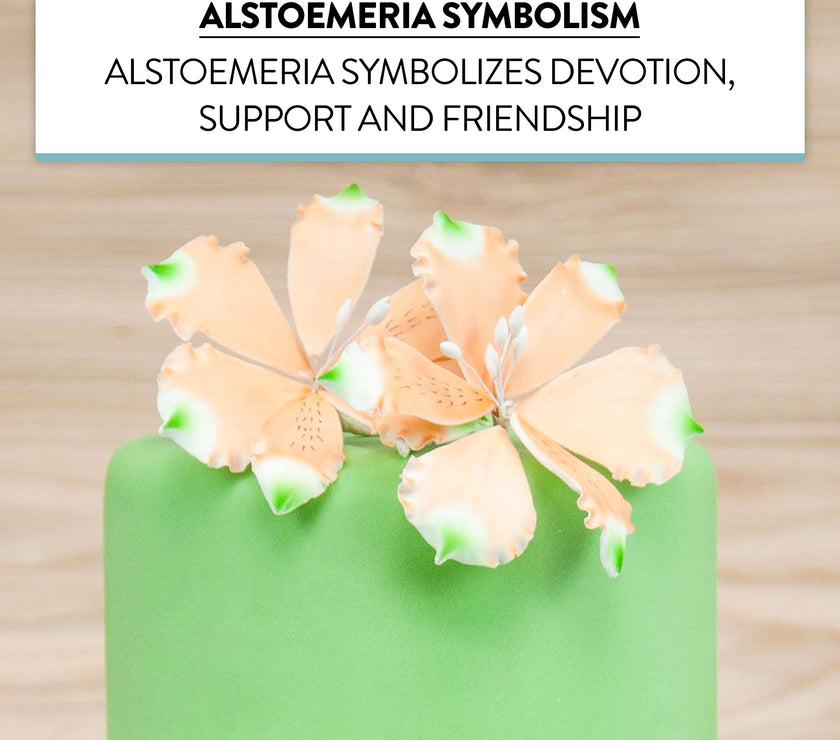 Global Sugar Art Orange Alstroemeria Sugar Cake Flowers by Chef Alan Tetreault, 3 Count
