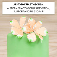 Global Sugar Art Orange Alstroemeria Sugar Cake Flowers by Chef Alan Tetreault, 3 Count