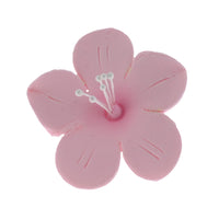 Global Sugar Art Fruit Blossom Sugar Cake Flowers by Chef Alan Tetreault