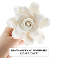 Gardenia Sugar Cake Flowers, Jumbo, White, 1 Count by Global Sugar Art