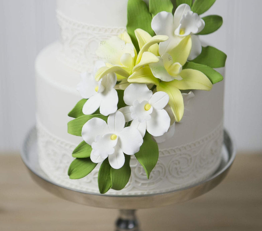 Orchid Sugar Cake Flowers, African Orchids, by Global Sugar Art, White, 6 Count