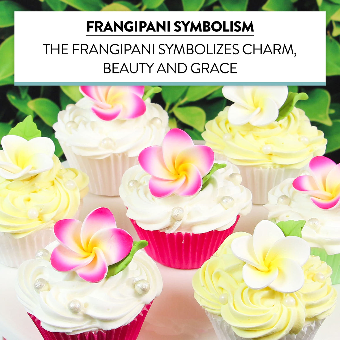 Frangipani with Leaves Gum Paste Cake Flowers 24 Count Sugar Flowers by Global Sugar Art