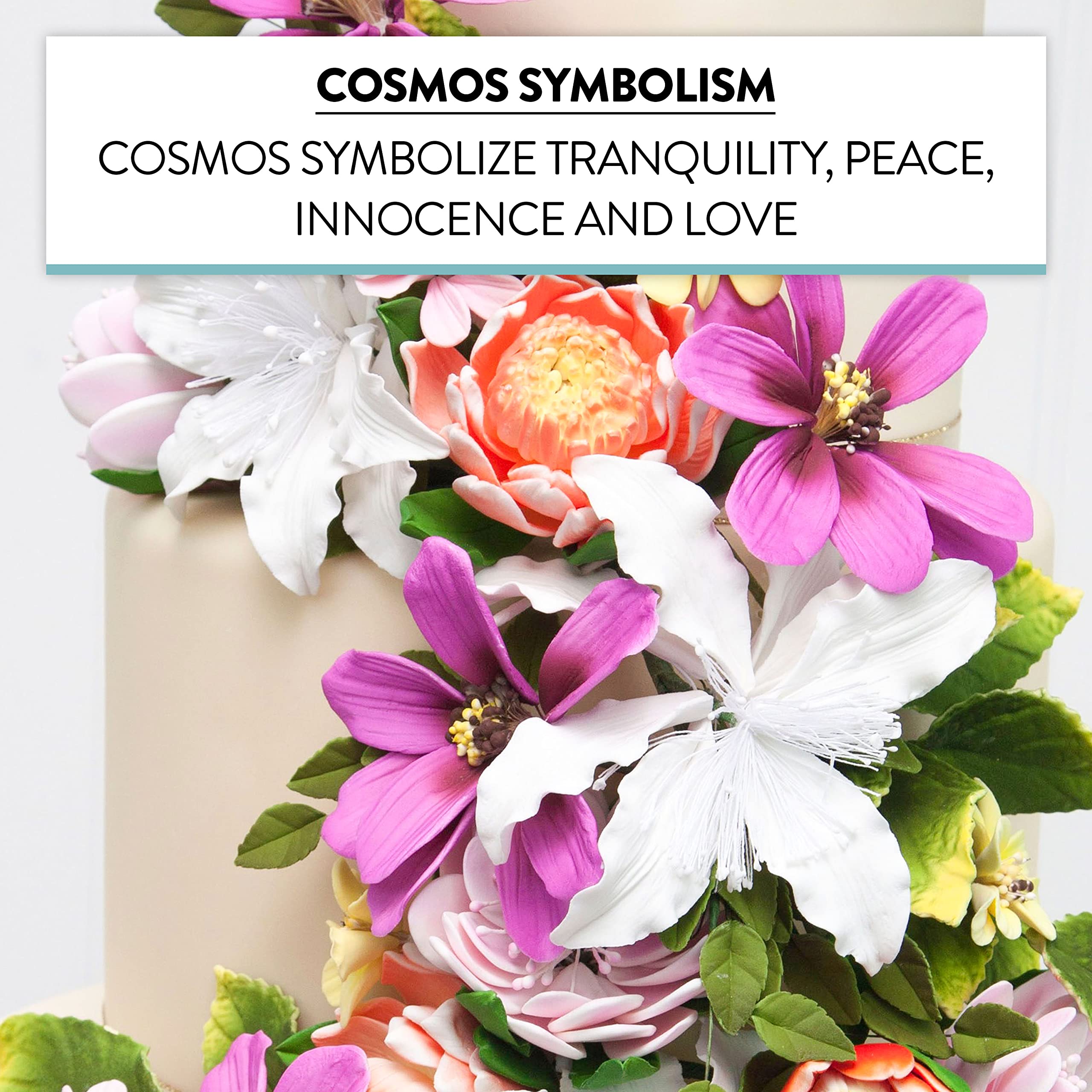 Global Sugar Art Cosmos Sugar Cake Flowers, Pink, Large, 3 Count by Chef Alan Tetreault