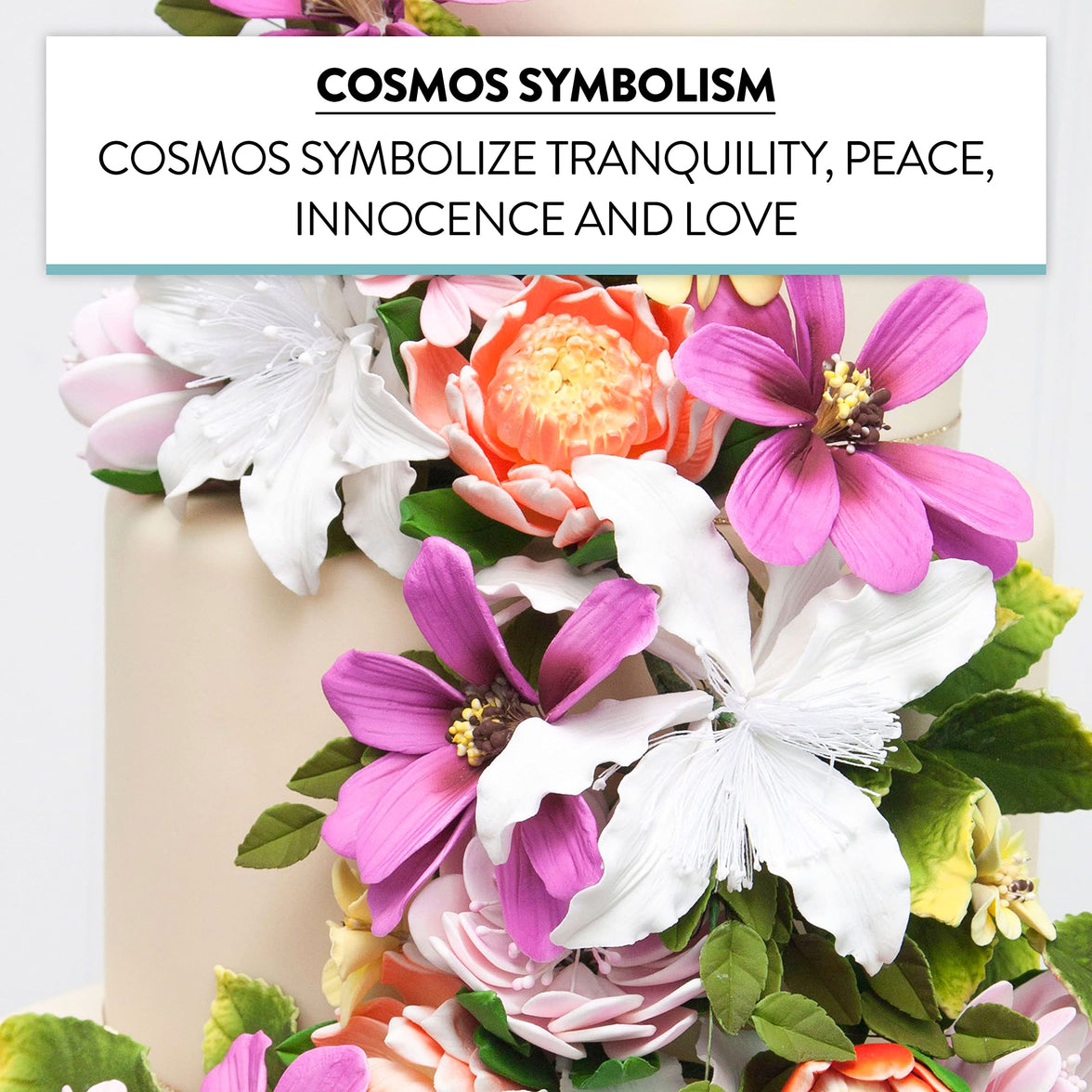 Global Sugar Art Cosmos Sugar Cake Flowers, Pink, Large, 3 Count by Chef Alan Tetreault