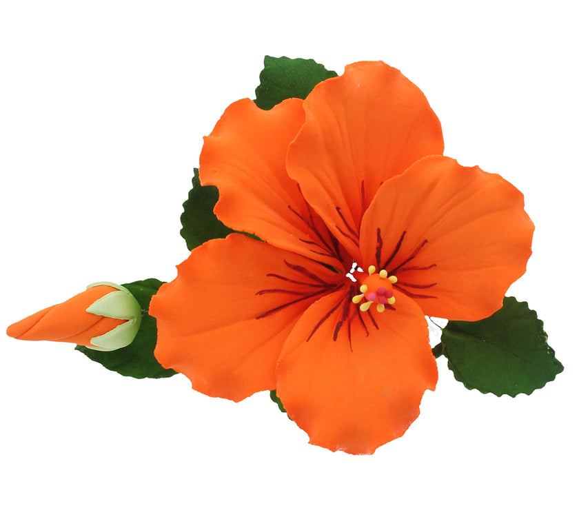 Tropical Hibiscus Sugar Cake Flower Spray by Global Sugar Art, Orange