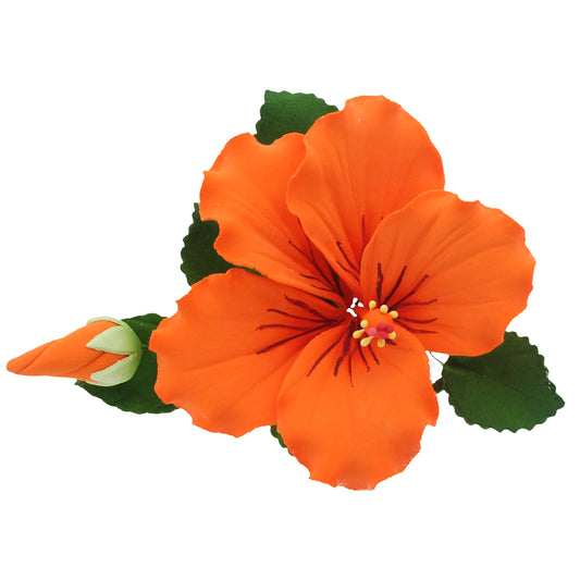 Orange Tropical Hibiscus with Leaves