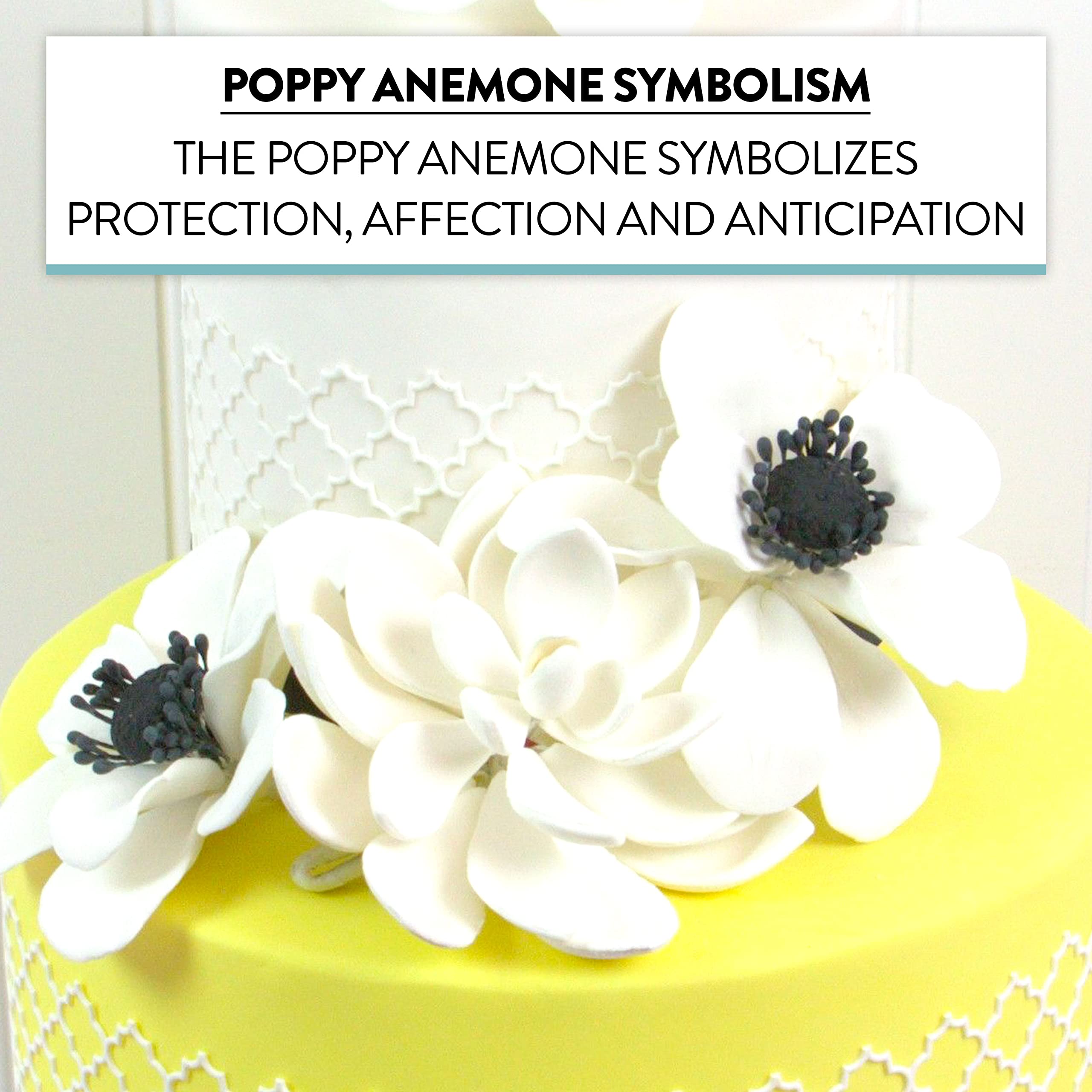 Global Sugar Art Sugar White and Black Anemone by Chef Alan Tetreault, 3 Count