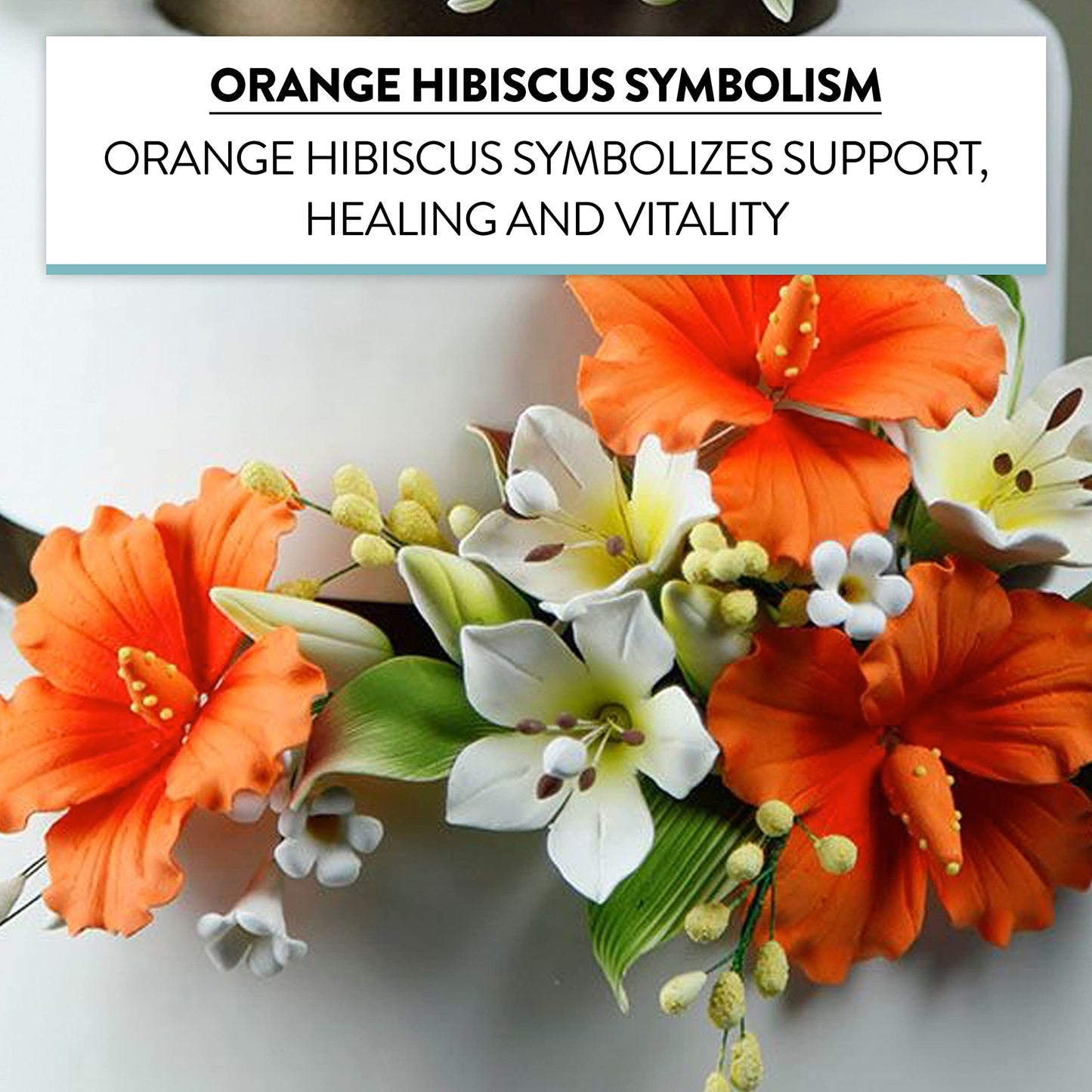 Orange Tropical Hibiscus