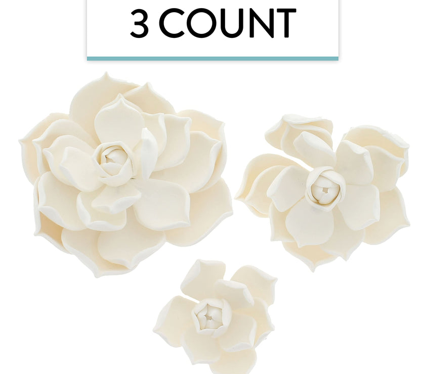 Global Sugar Art Succulent Parva Sugar Cake Flowers, White Assortment, 3 Count by Chef Alan Tetreault