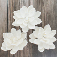 Global Sugar Art Succulent Opalina Sugar Cake Flowers White with Wire, 3 Count by Chef Alan Tetreault