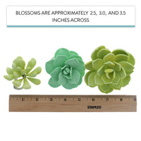 Global Sugar Art Succulent Vibrant Mixed Assortment Sugar Cake Flowers, 3 Count by Chef Alan Tetreault