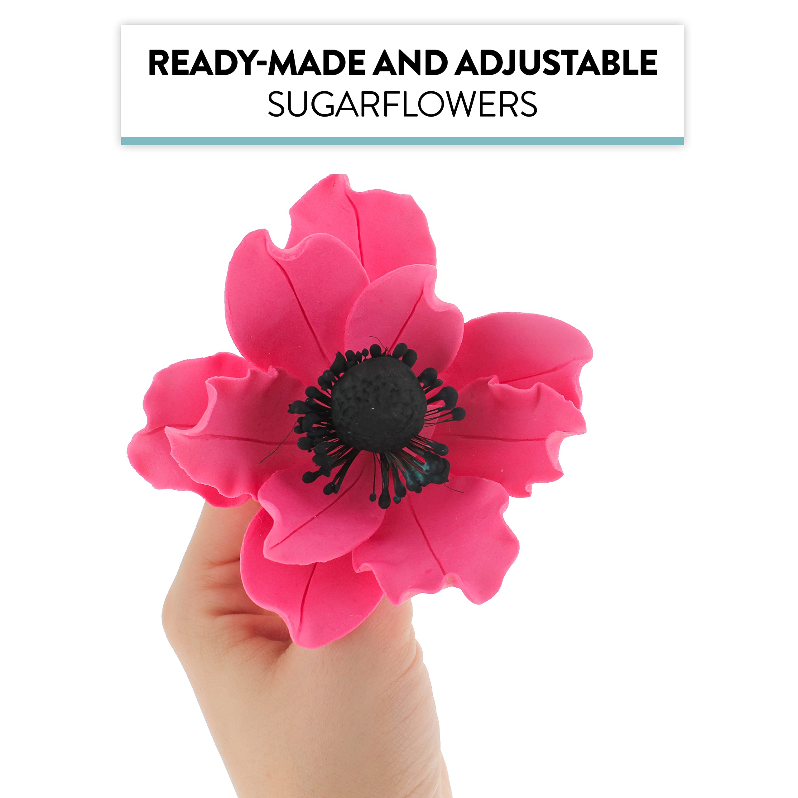 Global Sugar Art Sugar Hot Pink and Black Anemone by Chef Alan Tetreault, 3 Count