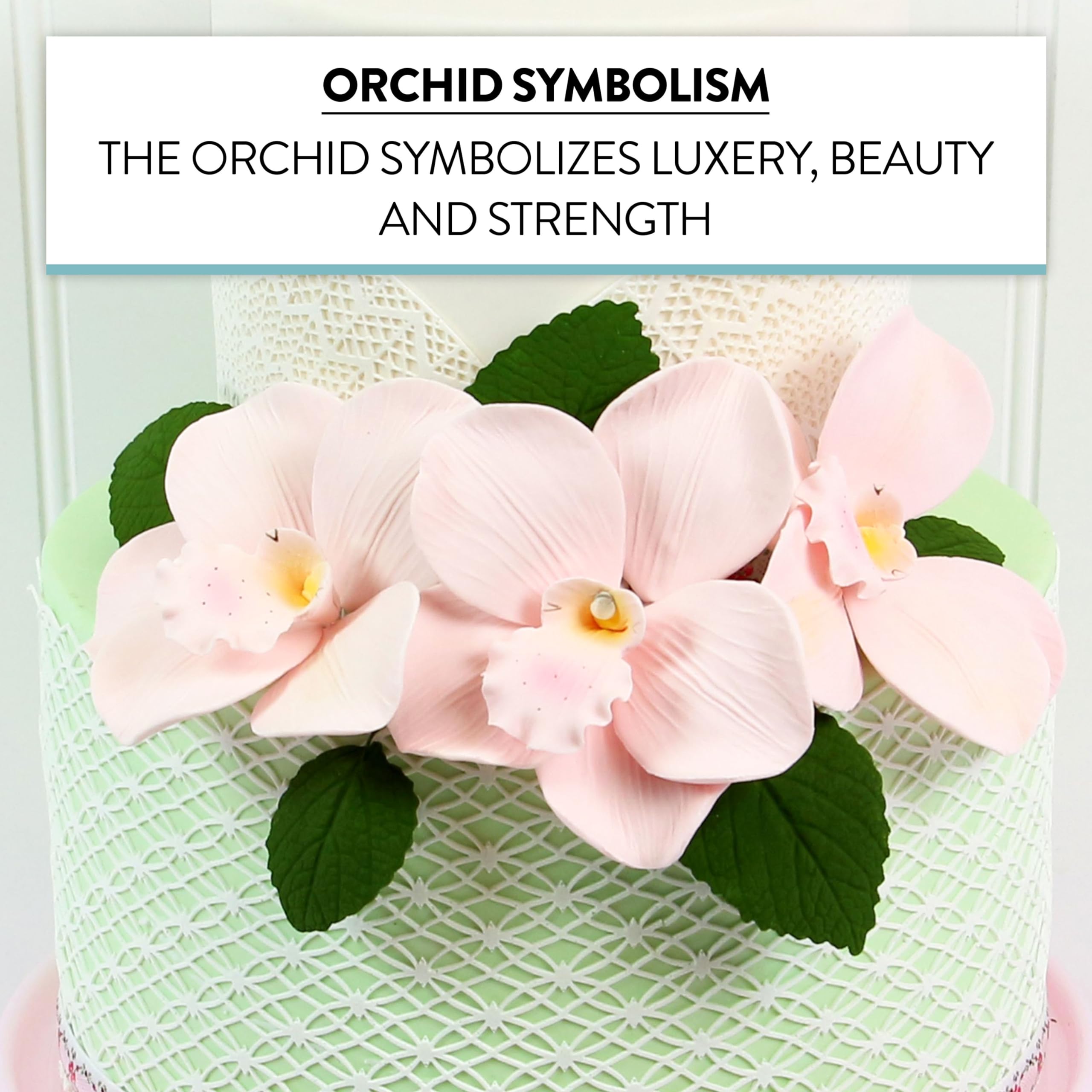 Orchid Sugar Cake Flowers, Cymbidium Orchids, by Global Sugar Art, Large, Pink, 3 Count