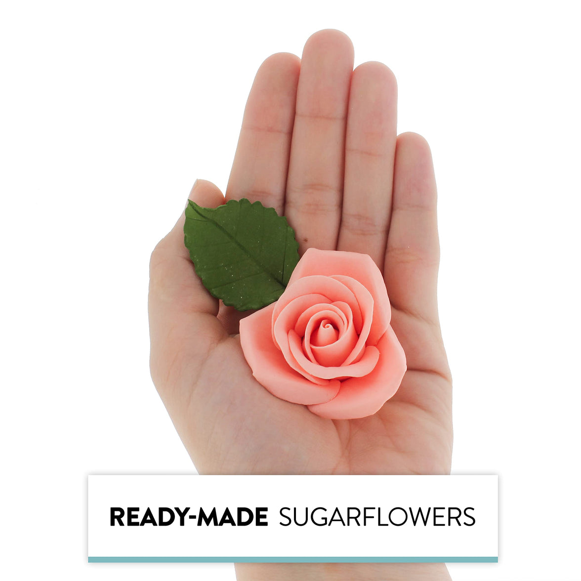 Peace Rose Sugar Flowers with Leaves, Cake Decorating Kit, by Global Sugar Art, Medium, Apricot