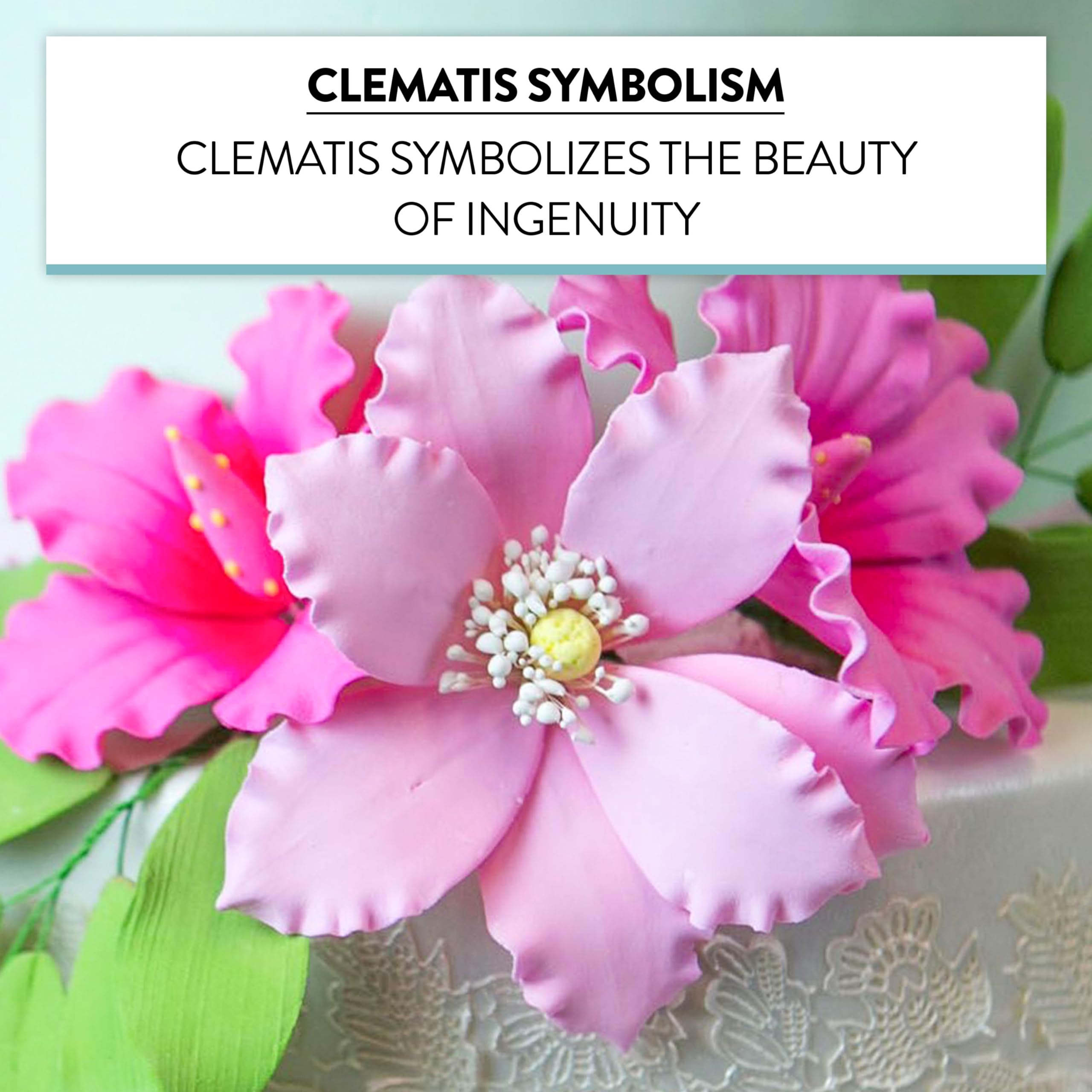 Clematis Gum Paste Sugar Cake Flowers by Global Sugar Art, Pink, 3 Count