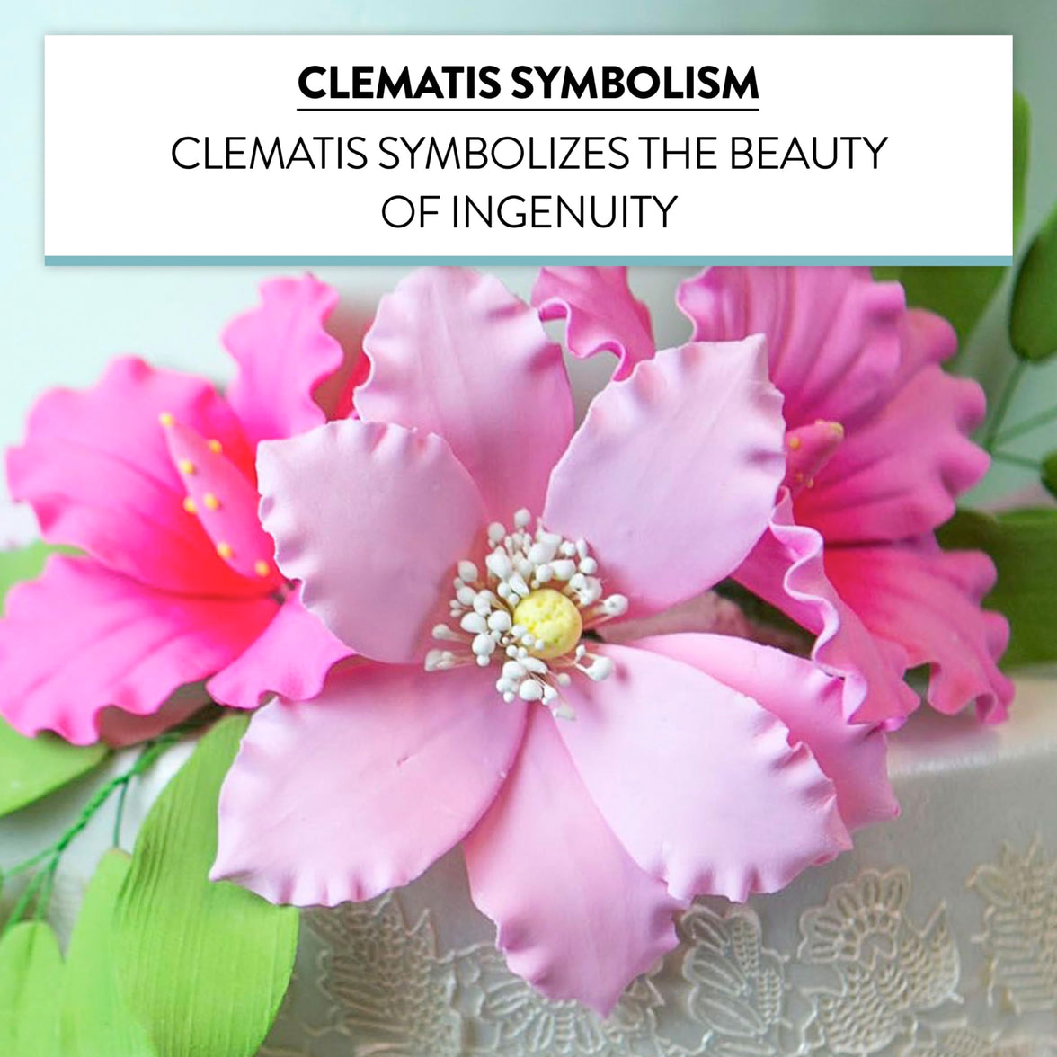 Clematis Gum Paste Sugar Cake Flowers by Global Sugar Art, Pink, 3 Count