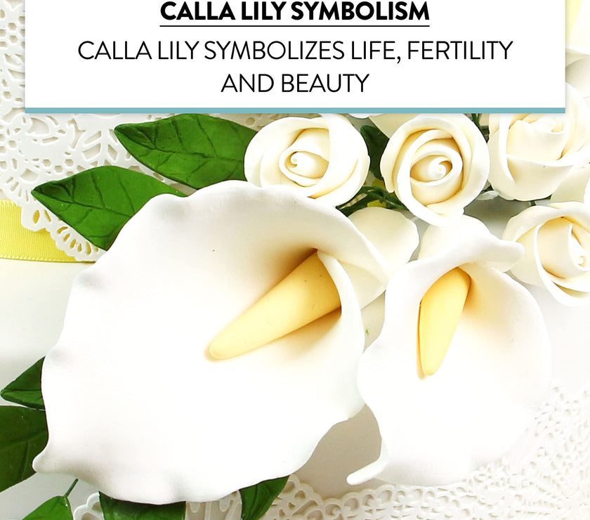Calla Lily Sugar Cake Flowers by Global Sugar Art, White with Yellow, Wired, 3 Sizes, 6 Count