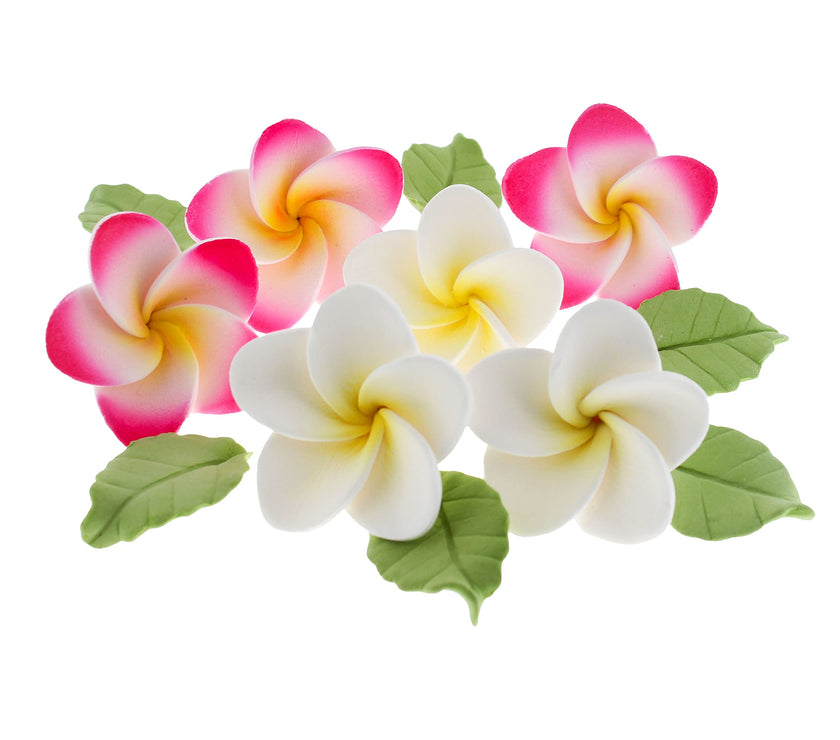 Frangipani with Leaves Gum Paste Cake Flowers 24 Count Sugar Flowers by Global Sugar Art