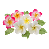 Frangipani with Leaves Gum Paste Cake Flowers 24 Count Sugar Flowers by Global Sugar Art