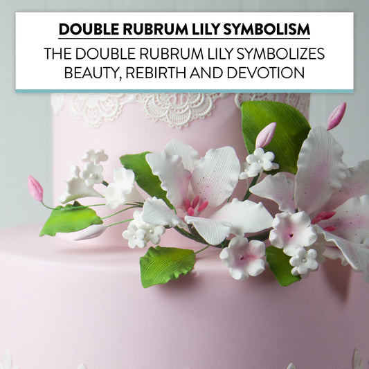 Pink Rubrum Lily Double Spray, 1 Count