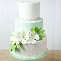 Global Sugar Art White Alstroemeria Sugar Cake Flowers by Chef Alan Tetreault, 3 Count