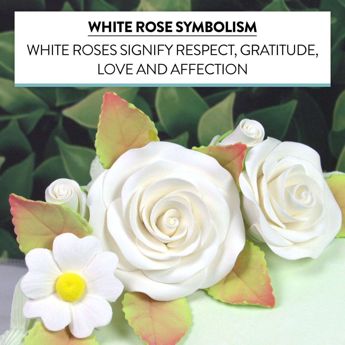 Rose and Blossom Set, Sugar Flowers for Cakes, by Global Sugar Art, White Roses and Blossoms