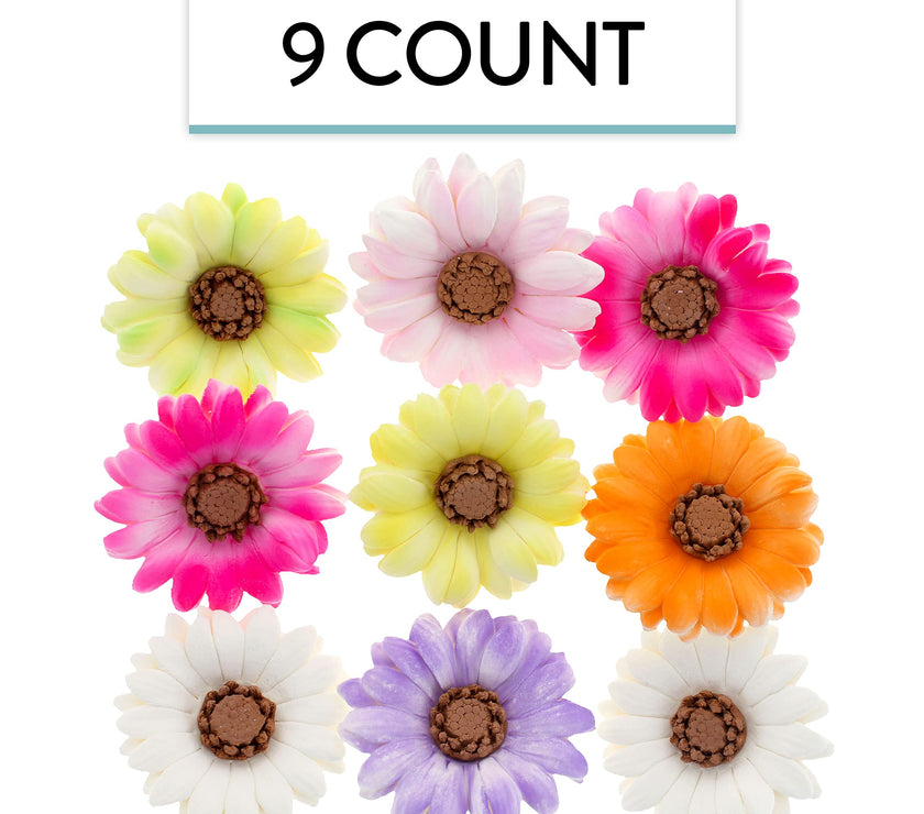 Global Sugar Art Summer Gerbera Daisy Sugar Cake Flowers Mixed Colors, 9 Count by Chef Alan Tetreault