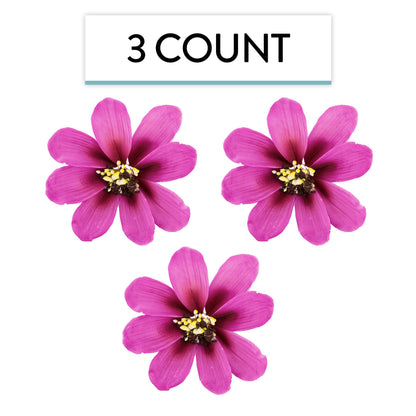 Pink Cosmos, 3 Count