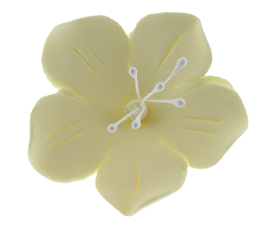 Global Sugar Art Fruit Blossom Sugar Cake Flowers by Chef Alan Tetreault
