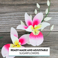 Orchid Sugar Cake Flower Sprays, Deep Pink and Yellow Double Orchid Spray, by Global Sugar Art
