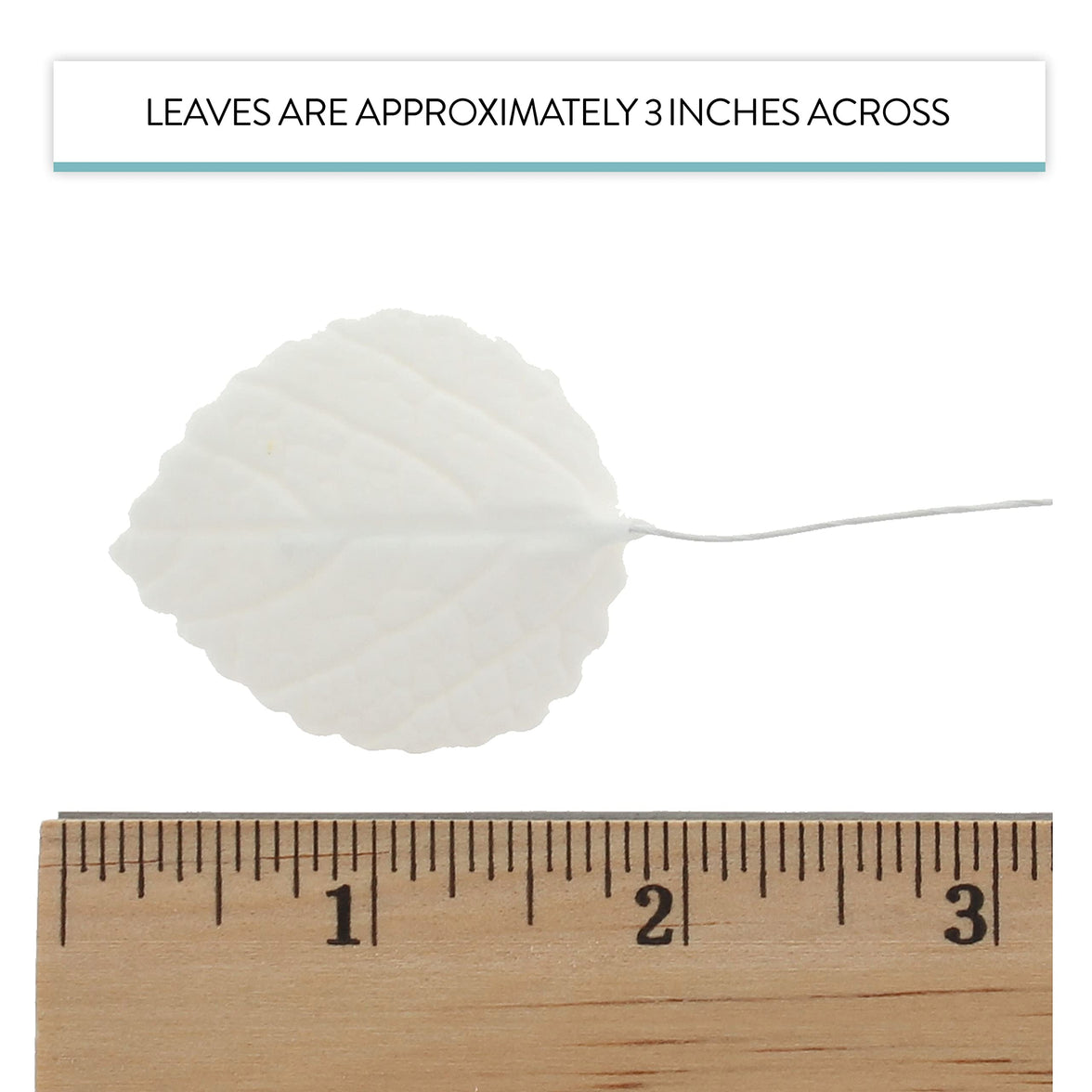 Hydrangea Leaves, Gum Paste Cake Decorations by Global Sugar Art, White, Multiple Sizes
