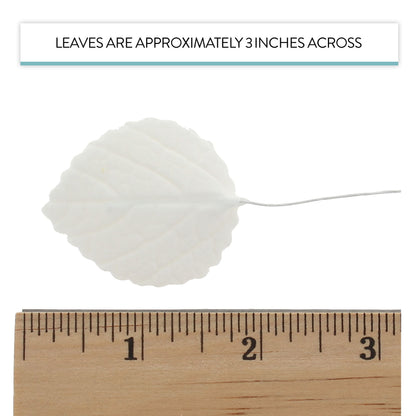White Hydrangea Leaves