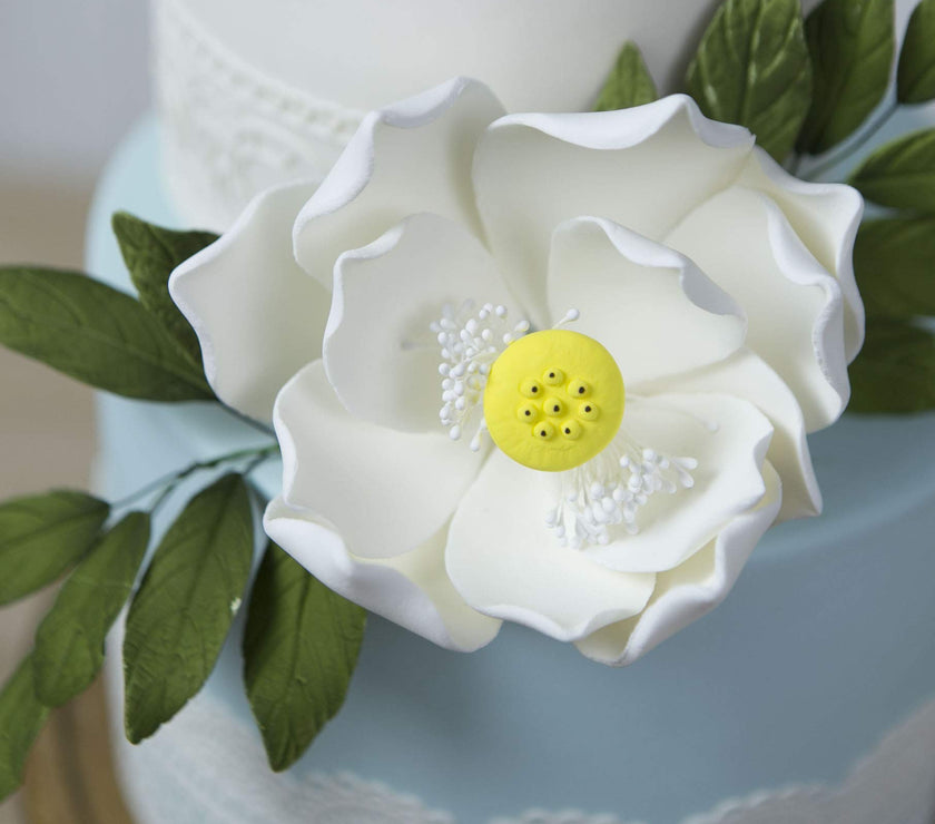 Global Sugar Art Lotus Blossom Jumbo 5 Inch Sugar Cake Flowers White with Wire, 3 Count by Chef Alan Tetreault