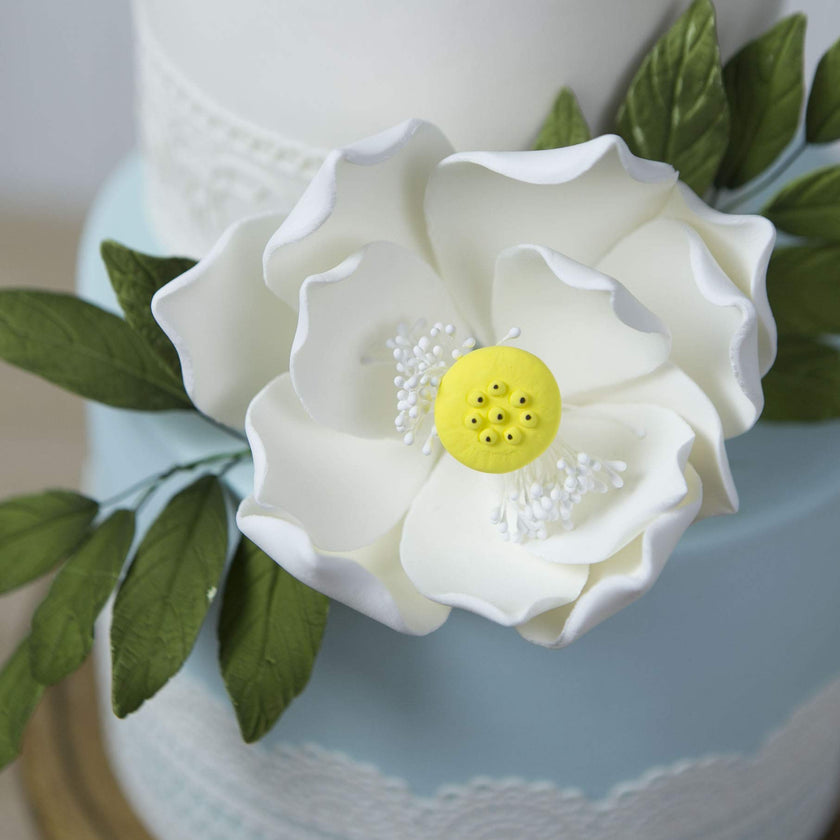 Global Sugar Art Lotus Blossom Jumbo 5 Inch Sugar Cake Flowers White with Wire, 3 Count by Chef Alan Tetreault