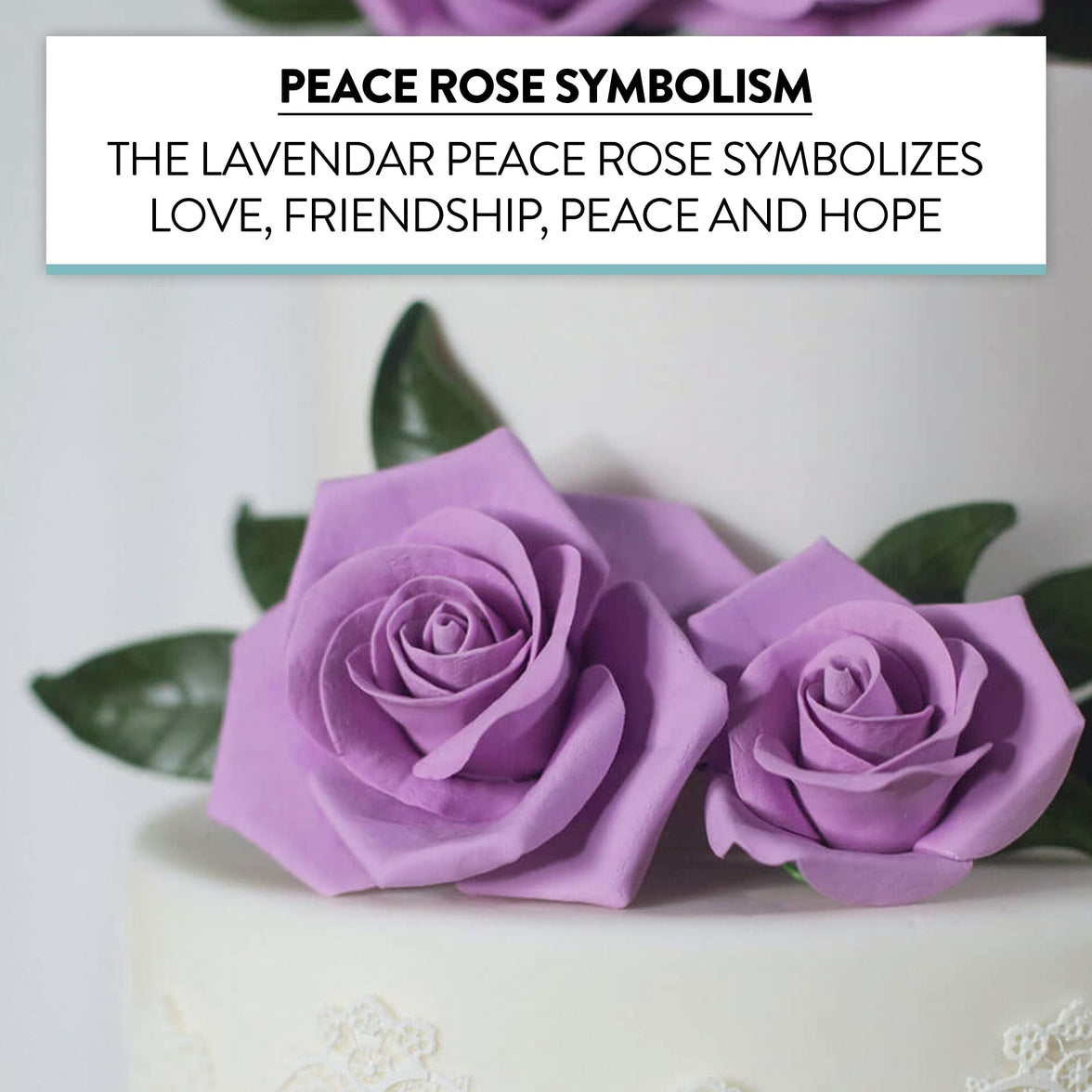 Peace Rose Sugar Flowers with Leaves, Cake Decorating Kit, by Global Sugar Art, Medium, Lavender