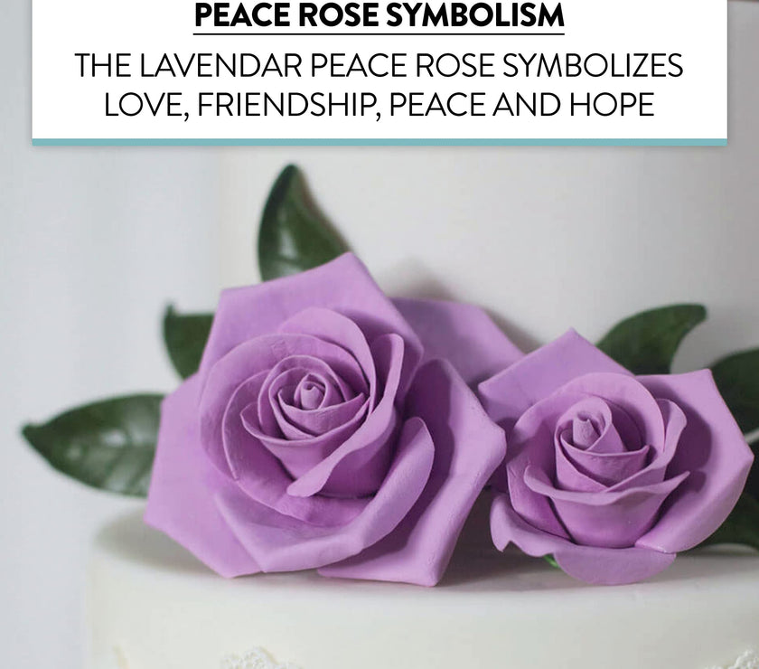 Peace Rose Sugar Flowers with Leaves, Cake Decorating Kit, by Global Sugar Art, Medium, Lavender