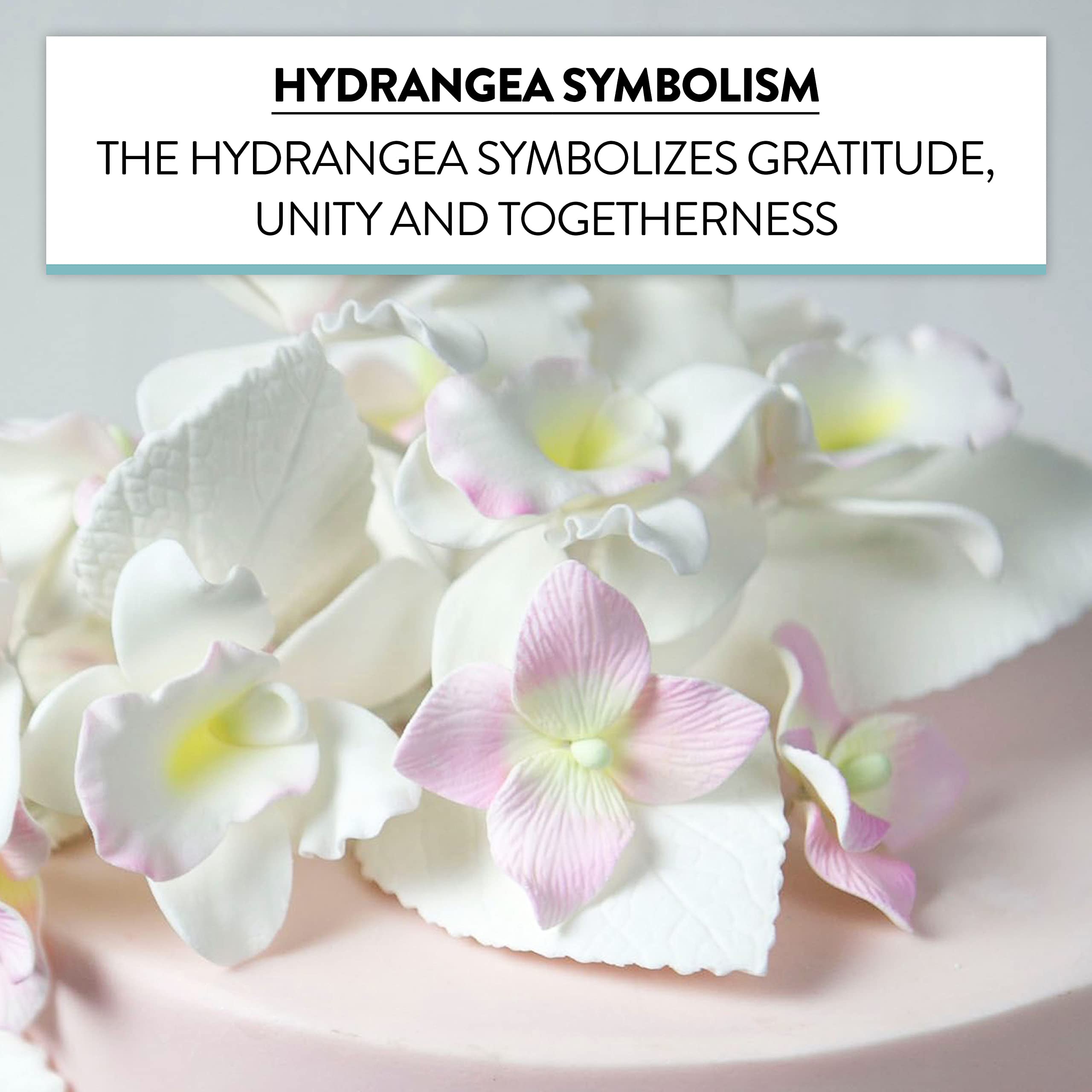 Hydrangea Blossoms, Flat Sugar Flowers by Global Sugar Art, 24 Count Pink