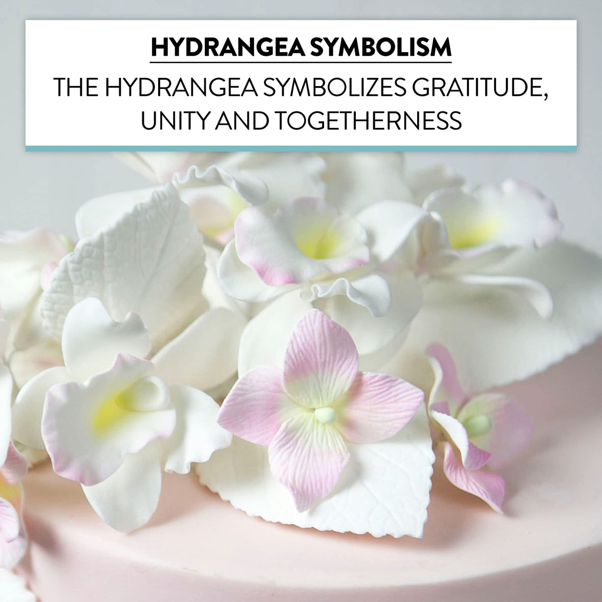 Hydrangea Blossoms, Flat Sugar Flowers by Global Sugar Art, 24 Count Pink