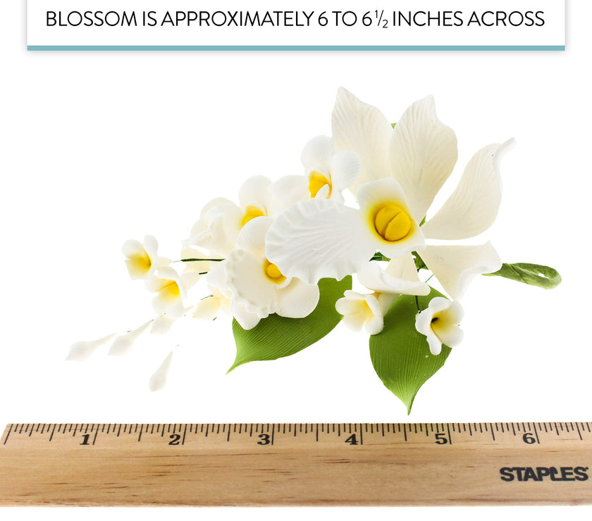 Orchid Sugar Cake Flower Sprays, White Cymbidium Orchid Spray, by Global Sugar Art