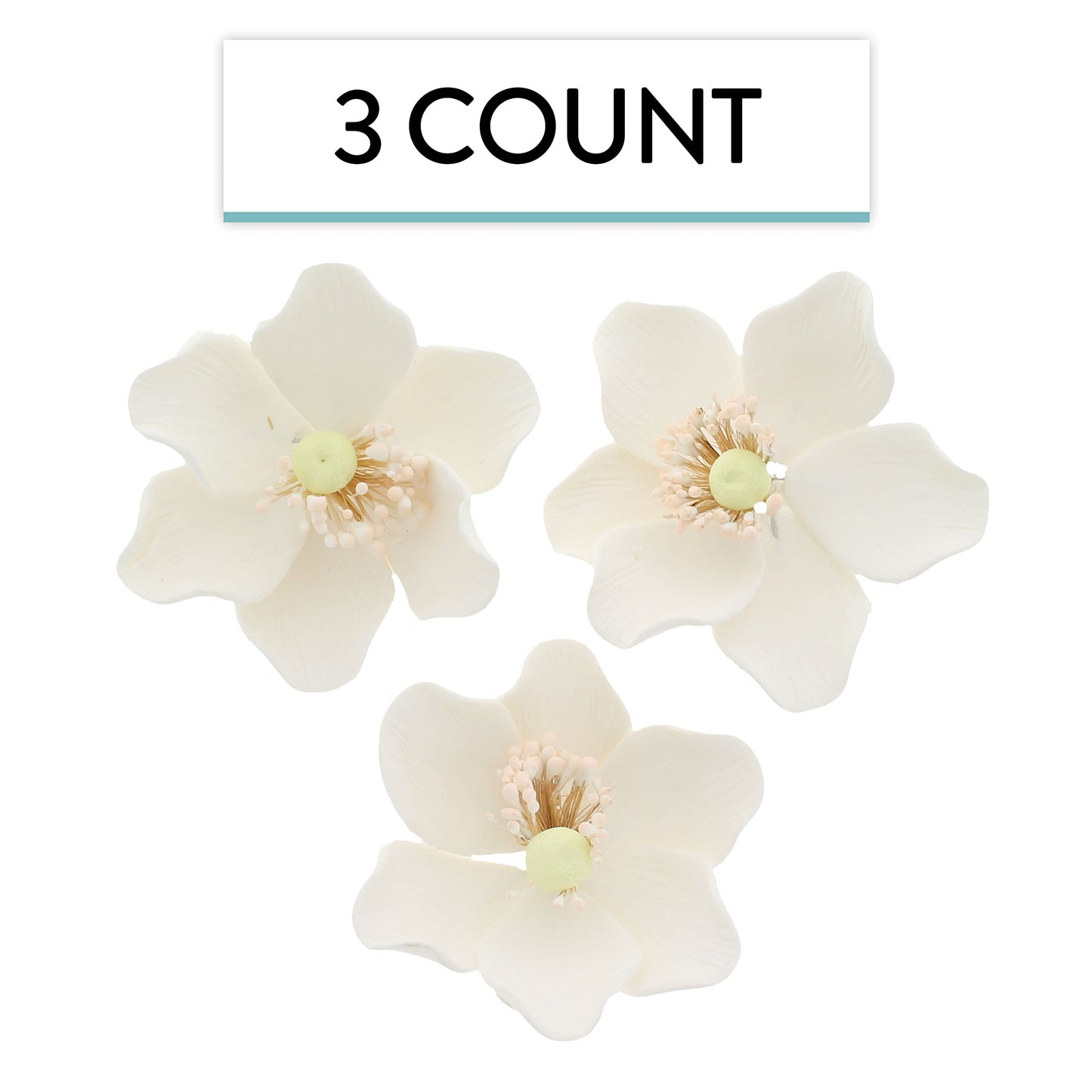 White and Green Anemone, 3 Count