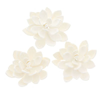 Global Sugar Art Succulent Opalina Sugar Cake Flowers White with Wire, 3 Count by Chef Alan Tetreault