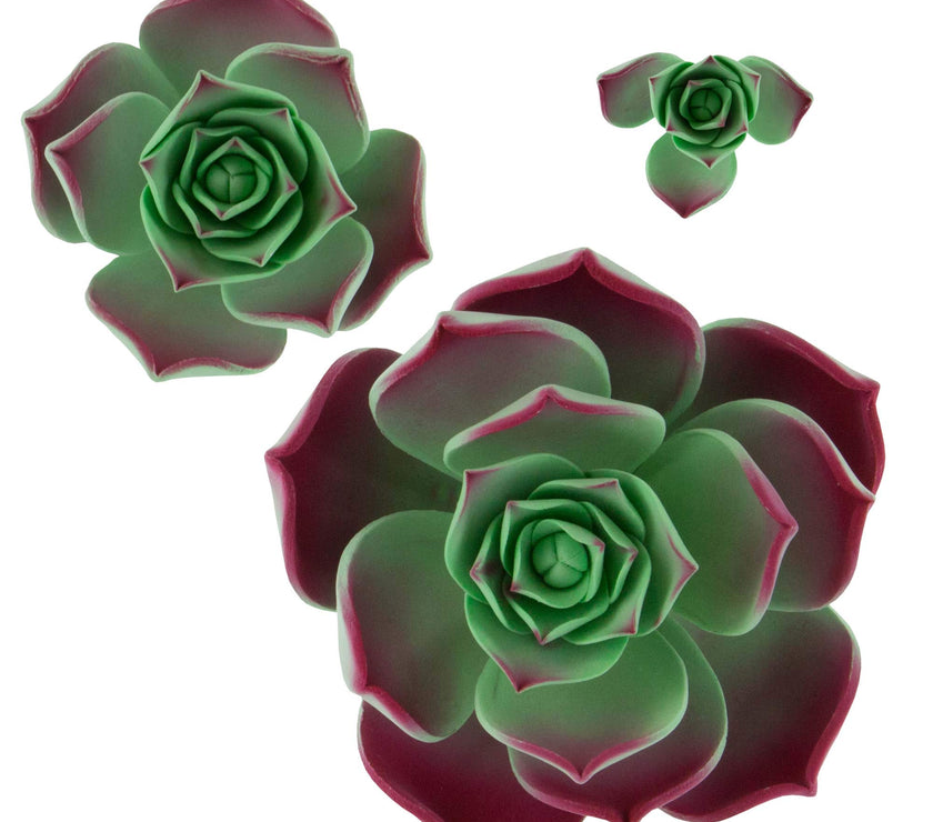 Global Sugar Art Succulent Taurus Sugar Cake Flowers Assortment with Wire, 3 Count by Chef Alan Tetreault