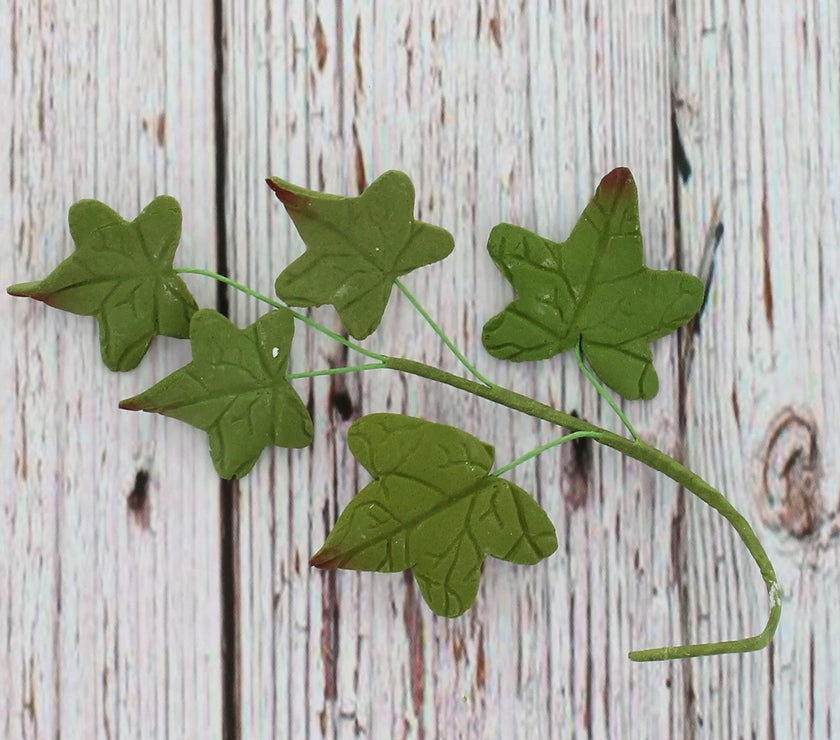 Ivy Leaf  Spray  Cake Decoration by Chef Alan Tetreault, Global Sugar Art, 5 Count