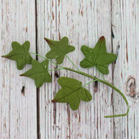 Ivy Leaf  Spray  Cake Decoration by Chef Alan Tetreault, Global Sugar Art, 5 Count
