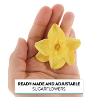 Daffodil Sugar Cake Flowers by Global Sugar Art, Yellow, 6 Count