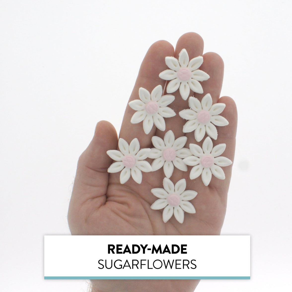 Edible Daisy Cake Decorations, White and Pink Sugar Flowers, Unwired 1 Inch, Daisy Cupcake Toppers, Edible Flowers Cake Decorations by Chef Alan Tetreault, Global Sugar Art