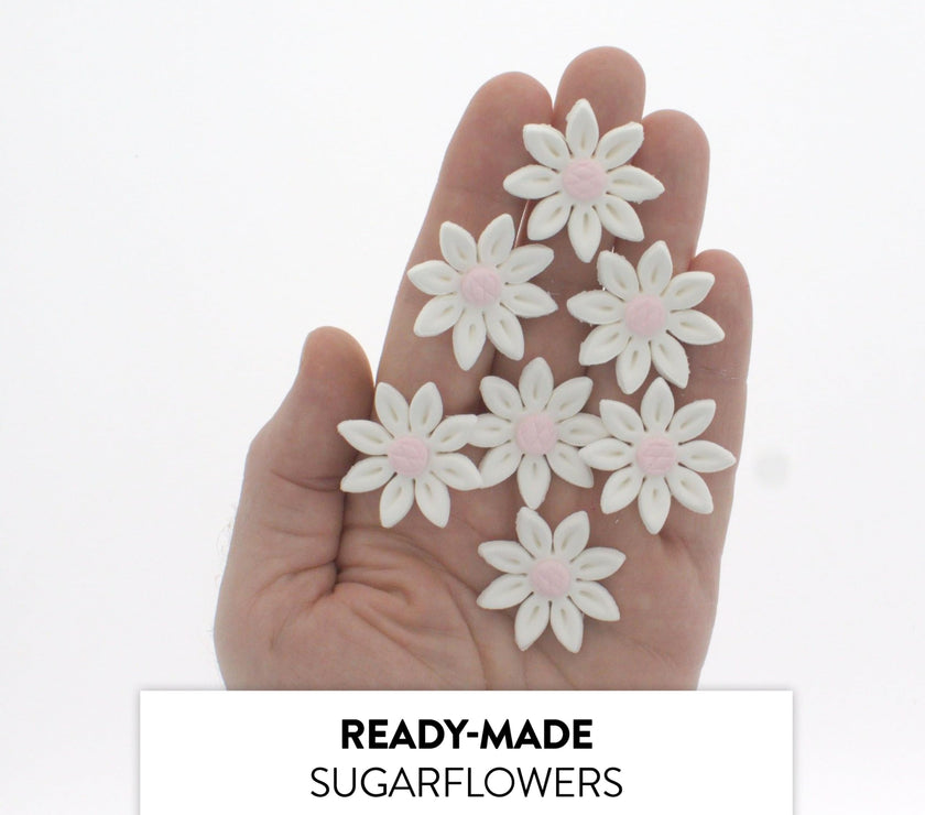 Edible Daisy Cake Decorations, White and Pink Sugar Flowers, Unwired 1 Inch, Daisy Cupcake Toppers, Edible Flowers Cake Decorations by Chef Alan Tetreault, Global Sugar Art